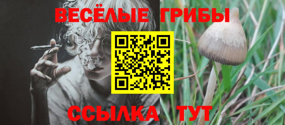 Галлюциногенные грибы Cubensis  Вход с VPN  купить наркоту  Новотроицк 